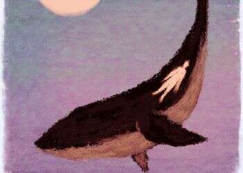 איור: מנחם הלברשטט