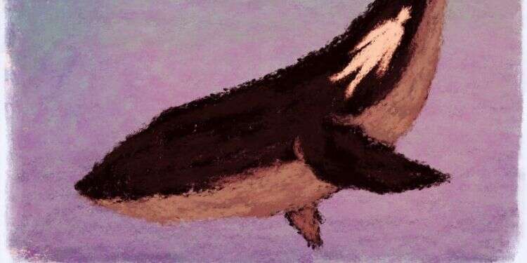 איור: מנחם הלברשטט איור: מנחם הלברשטט