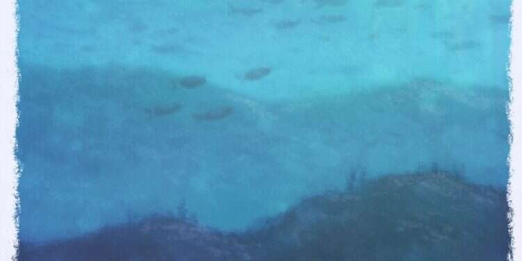 איור: מנחם הלברשטט איור: מנחם הלברשטט