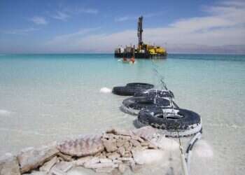 צילום: באדיבות פרופ' מוטי שטיין