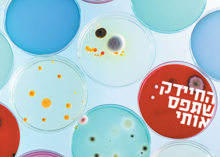 צילום: שאטרסטוק