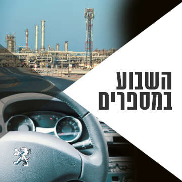 צילומים: AFP, שאטרסטוק
