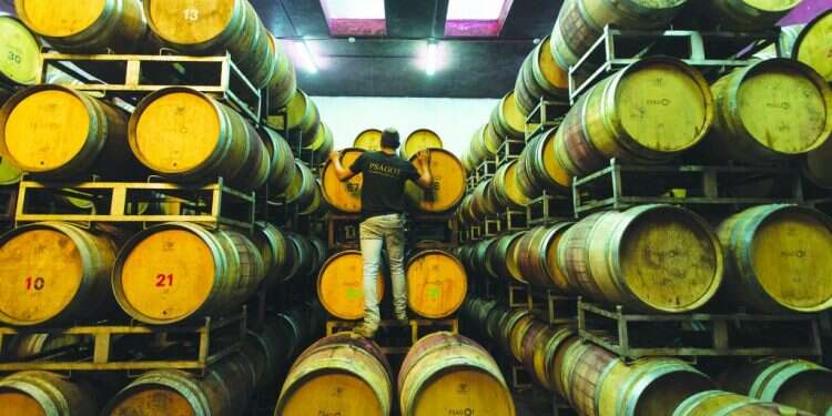 תביעת יקב פסגות נגד סימון מוצריו באירופה: במשרד החוץ חוששים מהחלטה אנטי־ישראלית