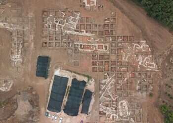 צילום: יואב זוהר