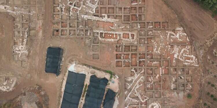 חפירות ליד נחל־עירון. צילום: יואב זוהר צילום: יואב זוהר