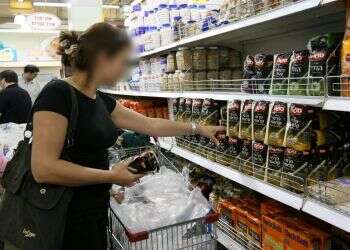 מיליון דונם בייבי