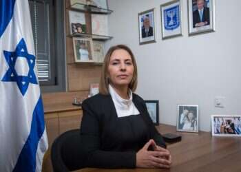 "למה לקרוא לפריימריז כשמנסים להקים ממשלת אחדות?"