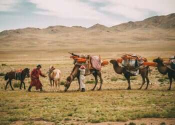 צילום: שאטרסטוק