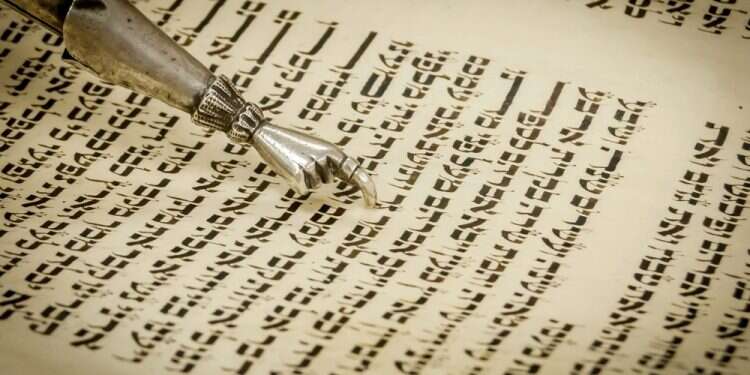 צילום: שאטרסטוק כתרי אותיות