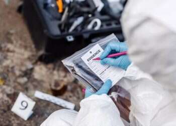 אהבה, יראה ואכיפה: הגישות הקרימינולוגיות של חכמי התלמוד