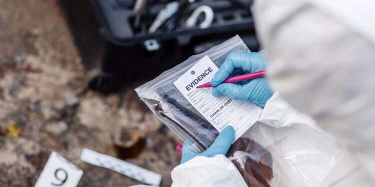 צילום: שאטרסטוק אהבה, יראה ואכיפה: הגישות הקרימינולוגיות של חכמי התלמוד