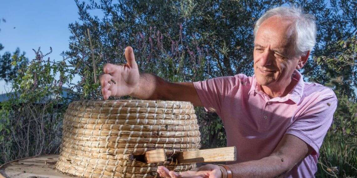 יוסי אוד. צילום: יוסי אלוני צילום: יוסי אלוני