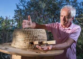 צילום: יוסי אלוני