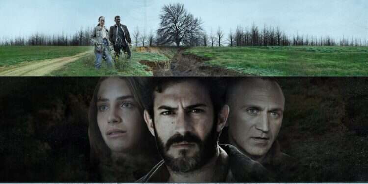 צילום: ניתאי נצר