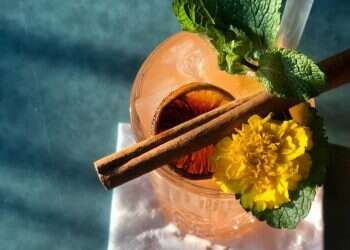 ד"ר עסקית ומיסטר קוקטייל