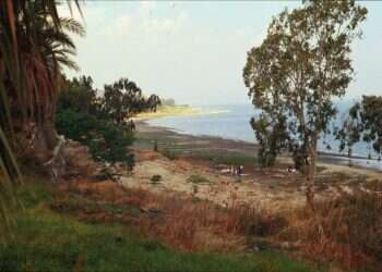 תגליות מפתיעות מתוך המקרר של האדם הקדמון