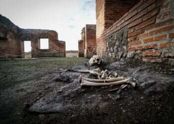 ימי פומפיי: בתי המרחץ של העיר הרומית העתיקה משוחזרים