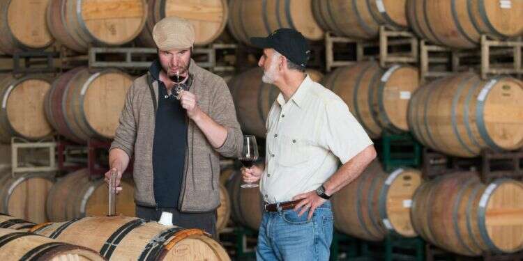 כשר אבל מצליח