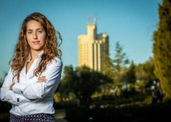 גיוון בעיסוק