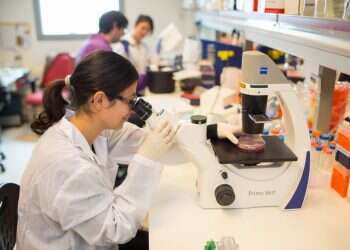 פריחה מאוחרת