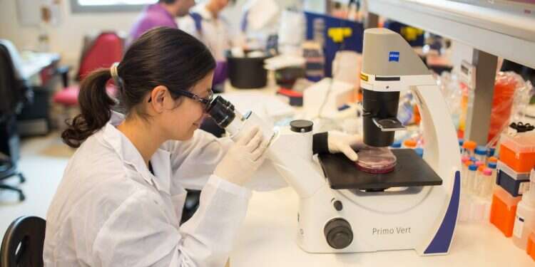 פריחה מאוחרת