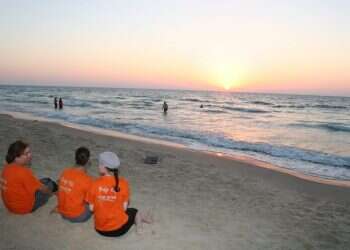 גוש קטיף. צילום: מרים צחי לך תזכור: בין הג'ונגל לחופי הים התיכון