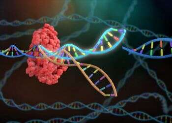 הגילויים המדעיים הבולטים של העשור החולף