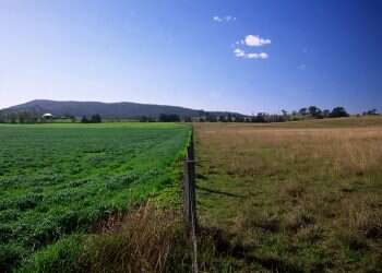 מחקר: שטח טבעי ליד שדה מעובד מגדיל את התוצר החקלאי