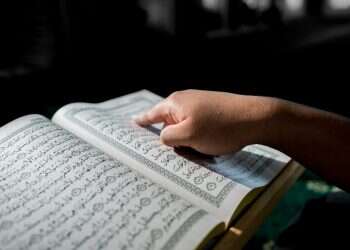 צילום: שאטרסטוק