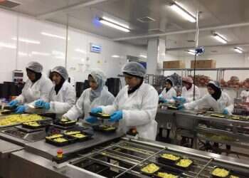 נשים בדואיות מבשלות תקווה