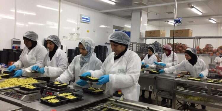עובדות במפעל 'נזיד'. צילום: עדי בן־שלום נשים בדואיות מבשלות תקווה