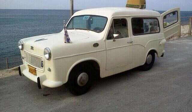 אמלק: בין הסוסיתא בימין לדינוזאורים בשמאל