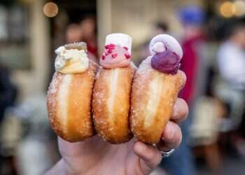 כוננות ספיגה: מסע בעקבות הסופגניה המושלמת