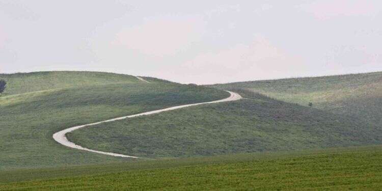 רמת מנשה. צילום: ד