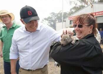 פני הדור כפני הוומבט