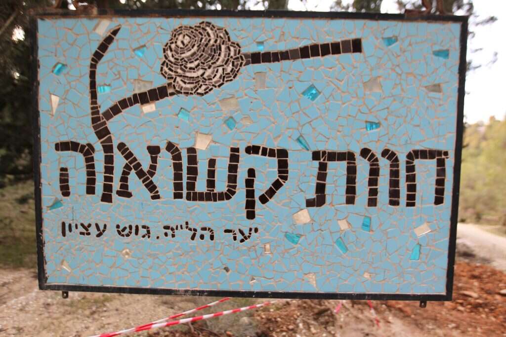 צילום: מרים צחי