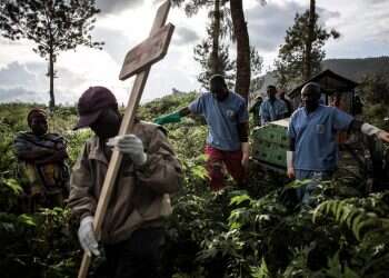 אבולה, חצבת, HIV ודנגי: המגפות שהכו ב־2019