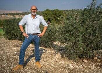 "בליכוד לא יתמכו בהסכם שיאפשר מדינה פלסטינית"