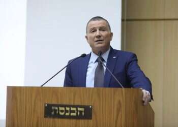 "אני מפרידה בין הזהות שלי לתפקידי כשרת התפוצות"