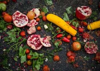 לובש ופושט צורה: מסע אישי על התחדשות והתיישנות