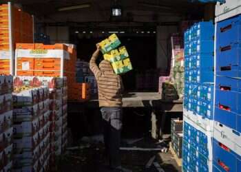 בלי מסגרת תומכת, רק המדינה יכולה לעזור