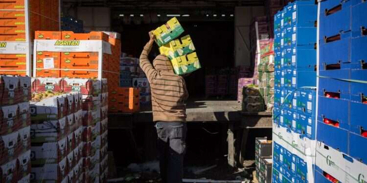 הסיוע הממשלתי אינו פוטר את היחיד. איסוף סלי מזון לנזקקים. צילום: הדס פרוש, פלאש 90 בלי מסגרת תומכת, רק המדינה יכולה לעזור