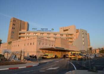 צילום: דודי גרינשפן