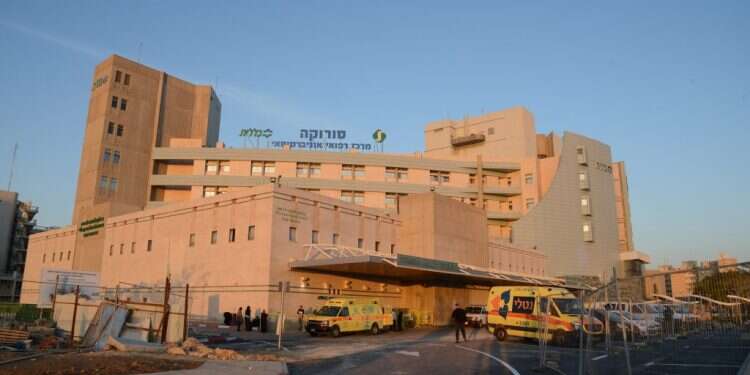 צילום: דודי גרינשפן