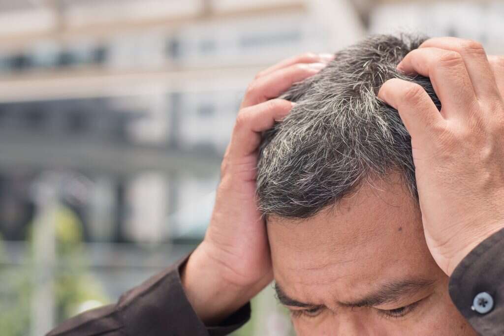 צילום: שאטרסטוק