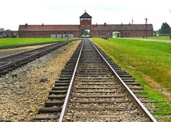 צילום: שאטרסטוק