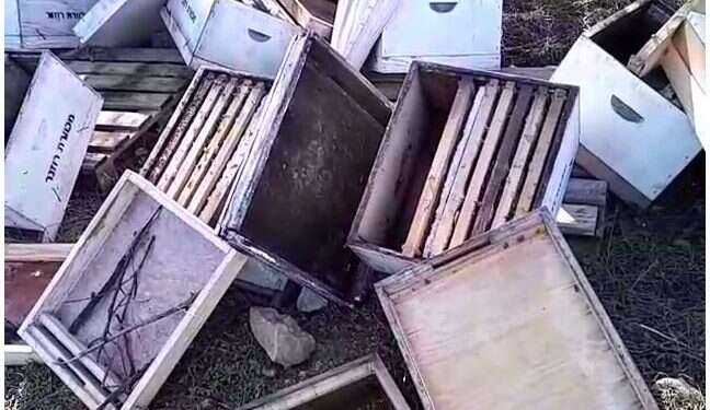 הכוורות באזור לטרון לאחר ההרס. צילום מסך מתוך סרטון של 'השומר החדש' "הרס לשם העברת מסר": הטרור נגד החקלאים מתרחב