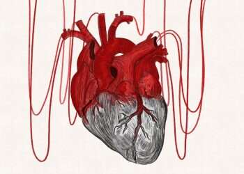 איור: שרון ארדיטי