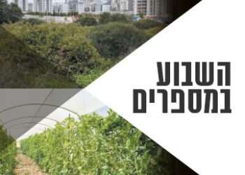 עדכוני המס על דירות וצניחה במספר המשקים בישראל
