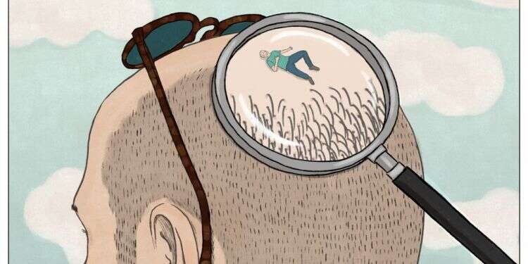 איור: שרון ארדיטי איור: שרון ארדיטי